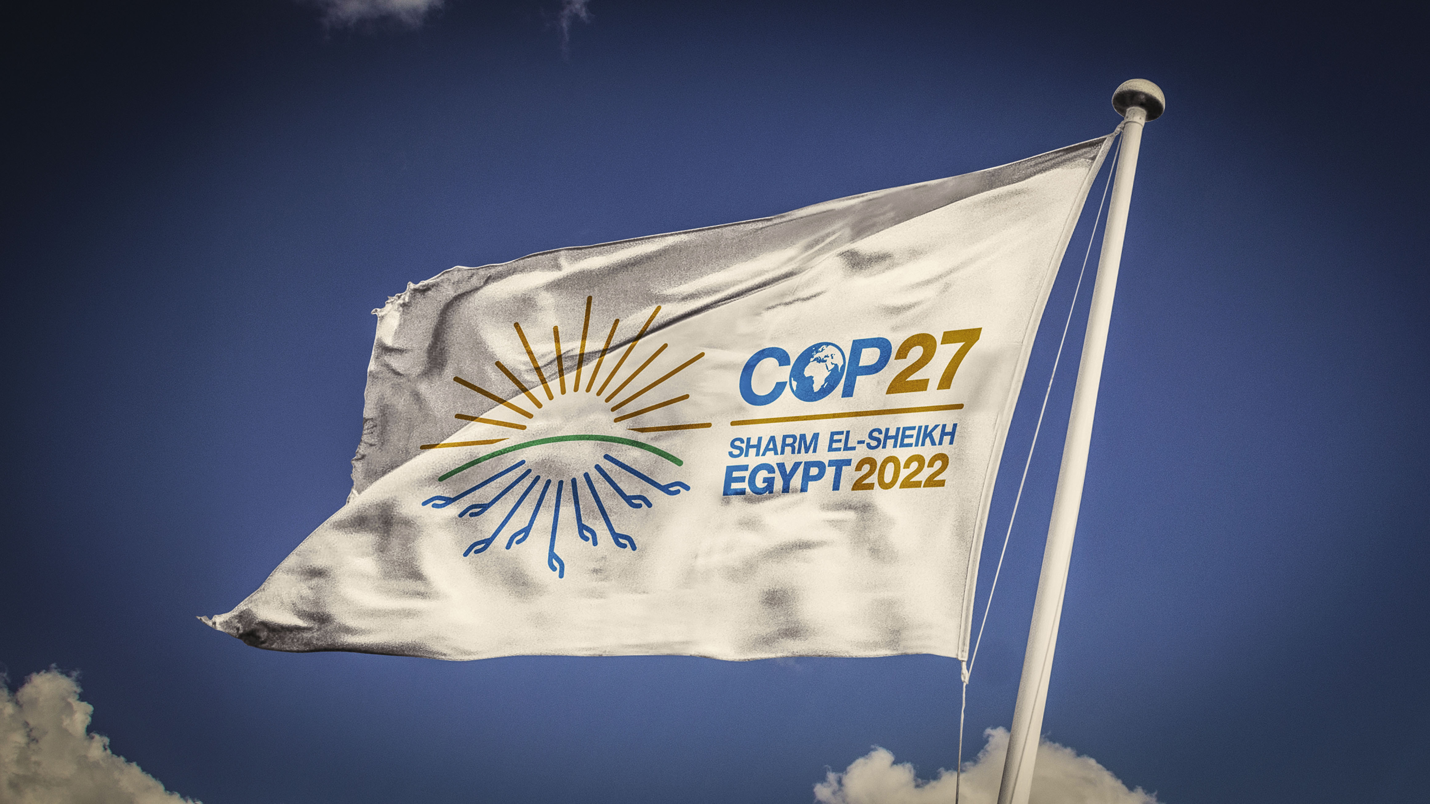 COP27