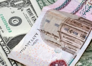 سعر الدولار