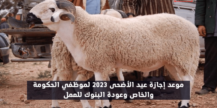 الموارد البشرية تعلن عن موعد إجازة عيد الأضحى المبارك 2023 للقطاع الحكومي