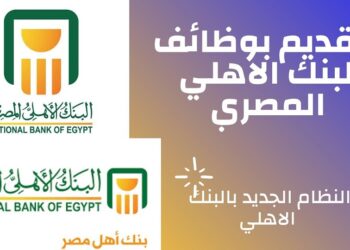 وظائف البنك الأهلي المصري الجديدة 2023