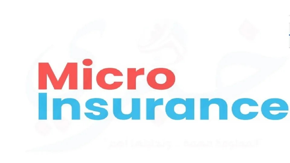 Micro insurance التأمين متناهي الصغر