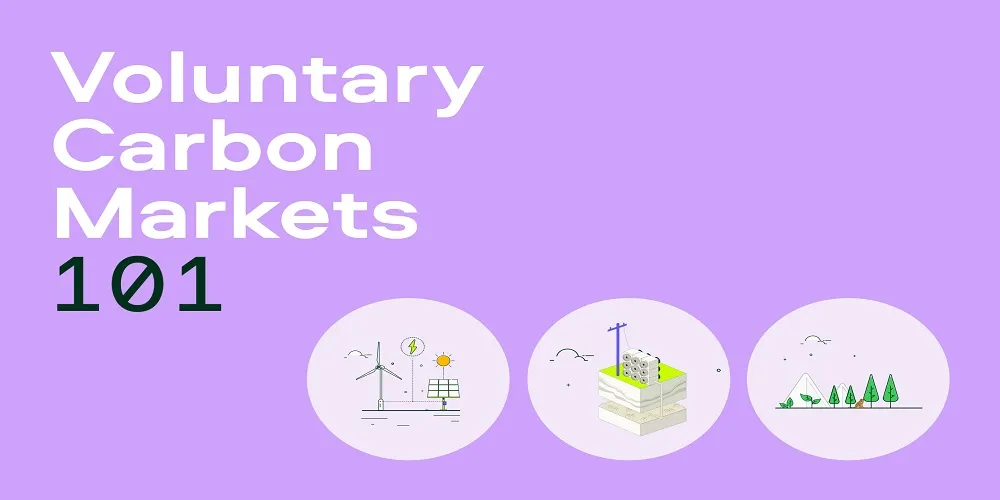 أسواق الكربون - Carbon markets