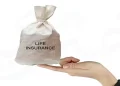 تأمينات الحياة - life insurance