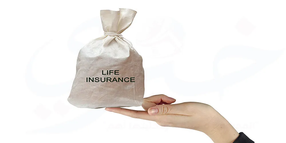 تأمينات الحياة - life insurance