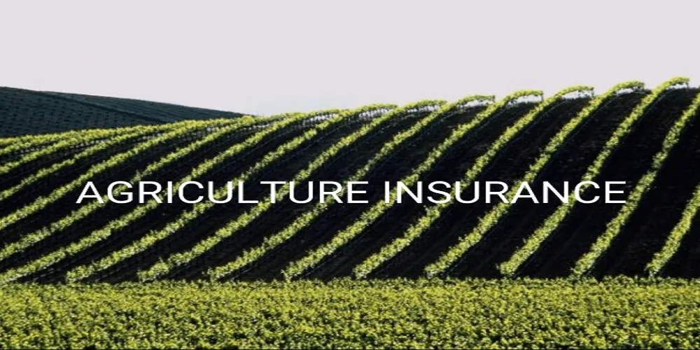 وثيقة تأمين المحاصيل الزراعية - Agricultural insurance policy