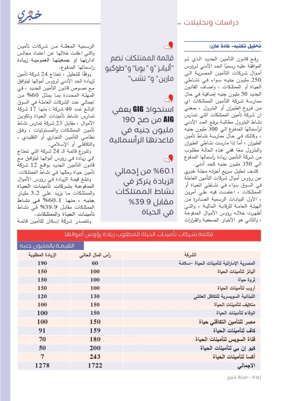 60 % من شركات التأمين في مصر تحتاج الي 3.2 مليار جنيه للتوافق مع القانون الجديد