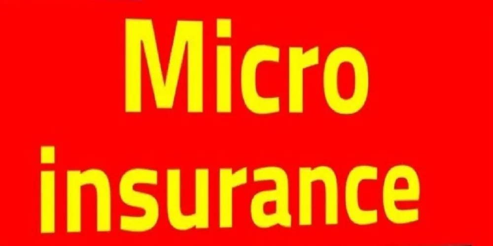 Micro insurance التأمين متناهي الصغر