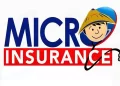 التأمين متناهي الصغر Microinsurance