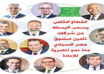 قيادات شركات تأمين صندوق مصر السيادي وشركات من القطاع الخاص