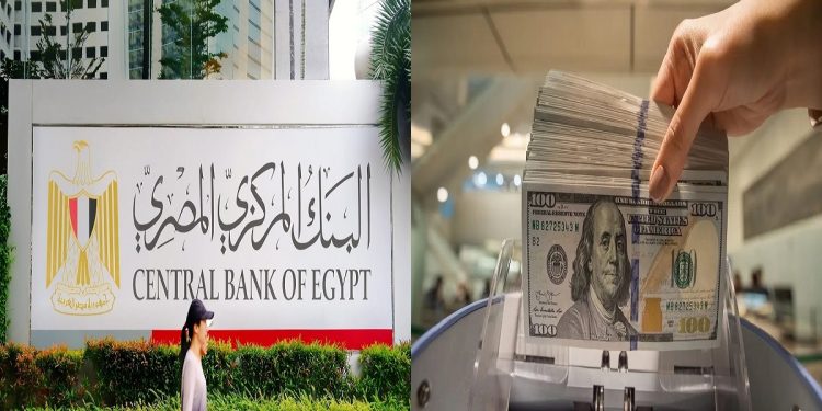 تحويلات المصريين العاملين في الخارج - البنك المركزي